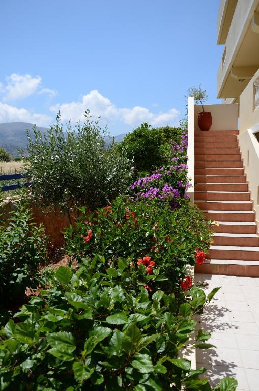 Cretan Family Apartments Малиа Экстерьер фото
